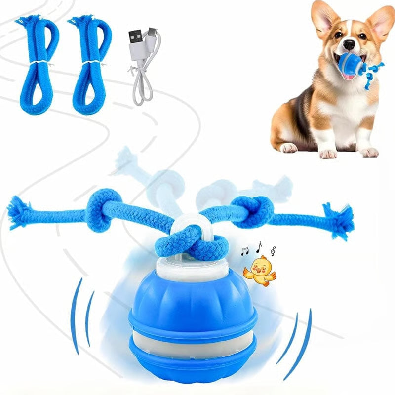 🐕 Interactive smart rolling pet ball