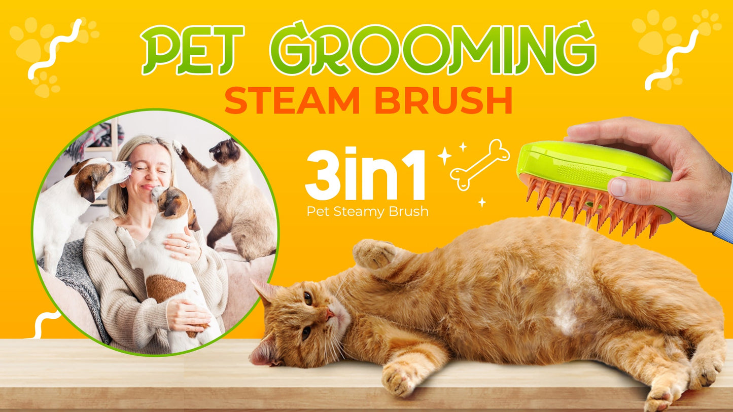 🟢Pet Grooming Steam Brush