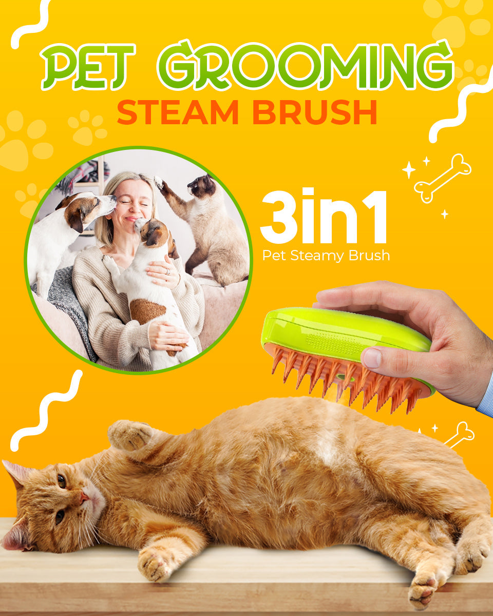 🟢Pet Grooming Steam Brush